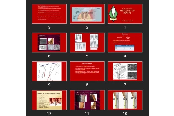 پاورپوینت HISTOLOGY OF DENTAL