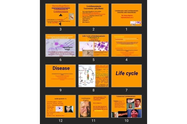 پاورپوینت Leishmania and Leishmaniasis Amoeba and Amoebiasis
