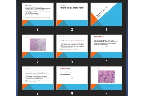 پاورپوینت Peripheral Nervous system