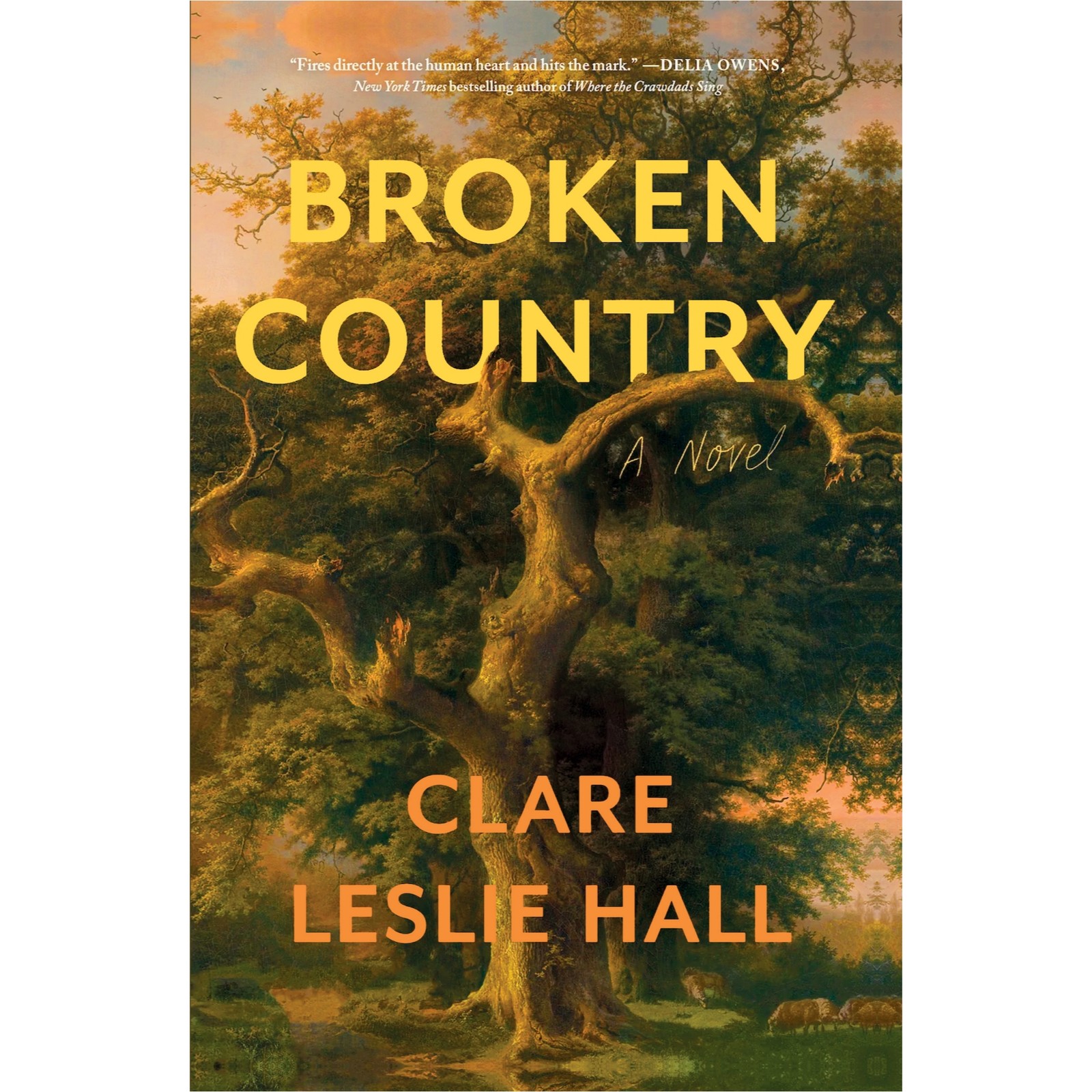 Broken Country