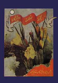 مجموعه مقالات دوشیزگان