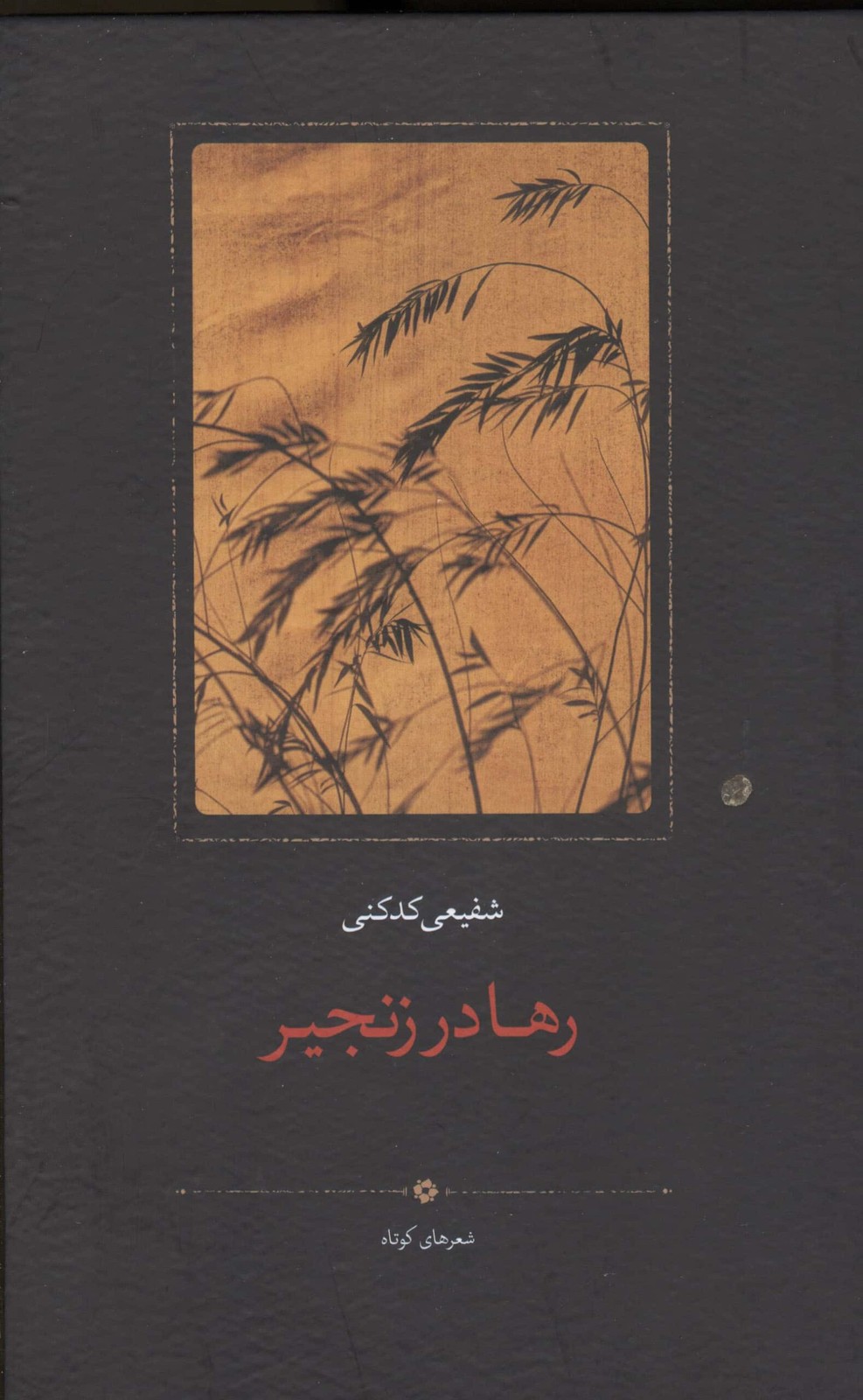 رها در زنجیر (زرکوب،رقعی،سخن)