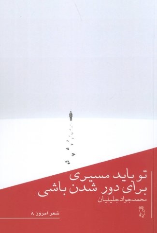 تو باید مسیری برای دور شدن باشی (شمیز،رقعی،جغد)
