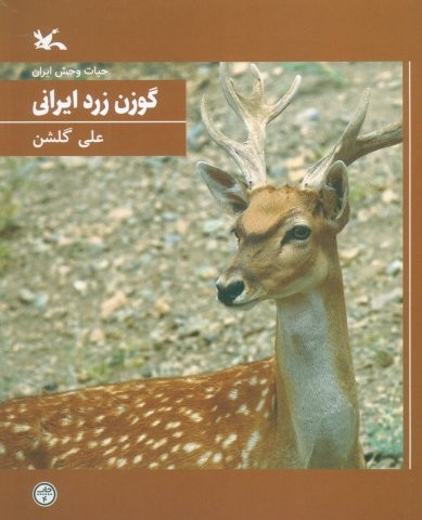گوزن زرد ایرانی (حیات وحش ایران)،(شمیز،وزیری،کانون پرورش فکری)