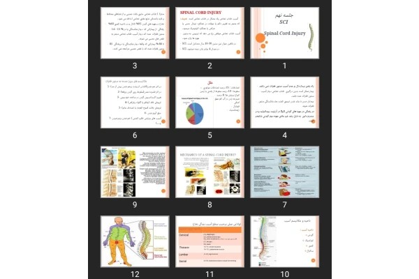 پاورپوینت Spinal Cord Injury SCI