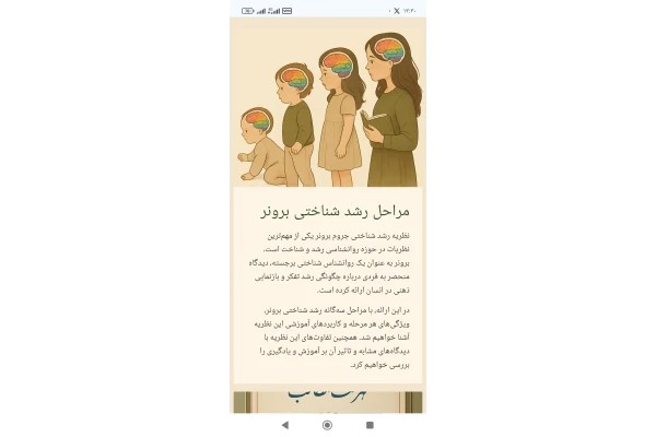 مراحل رشد برونر