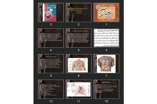 پاورپوینت Anatomy and Physiology of the Cardiovascular System