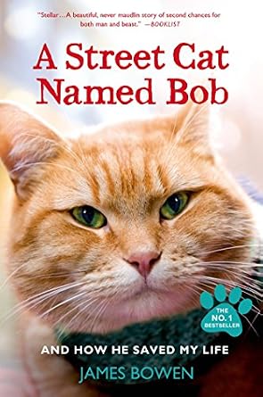 دانلود نسخه کامل کتاب زبان اصلی A Street Cat Named Bob: And How He Saved My Life