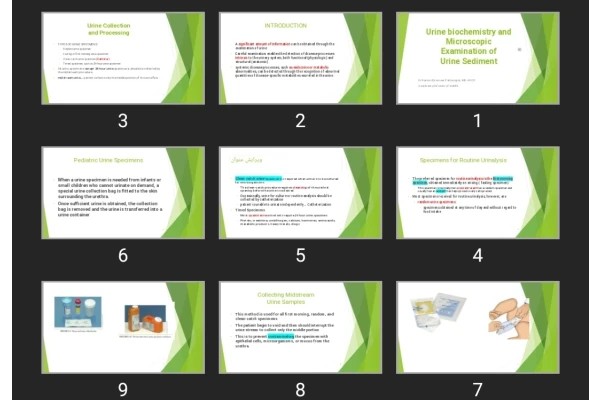 پاورپوینت Urine biochemistry and Microscopic Examination of Urine Sediment
