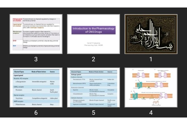پاورپوینت Introduction to the Pharmacology of CNS Drugs