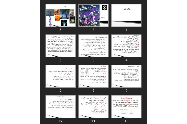 پاورپوینت Structure of sugars