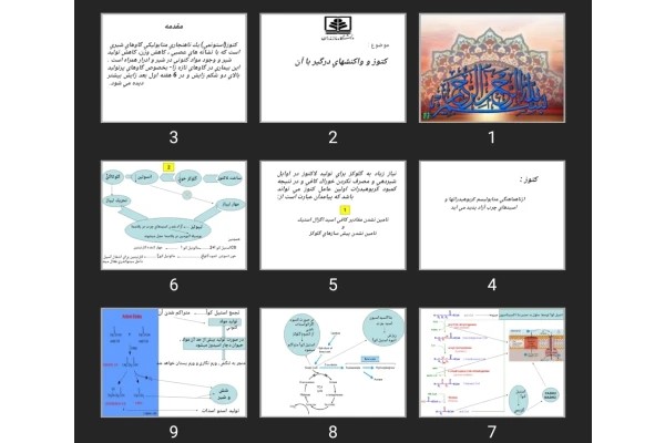 پاورپوینت كتوز و واكنش های درگير با آن