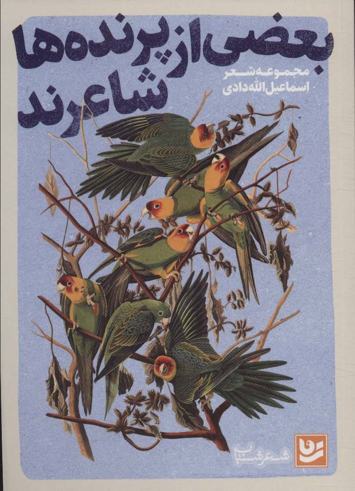 کتاب بعضی از پرنده ها شاعرند