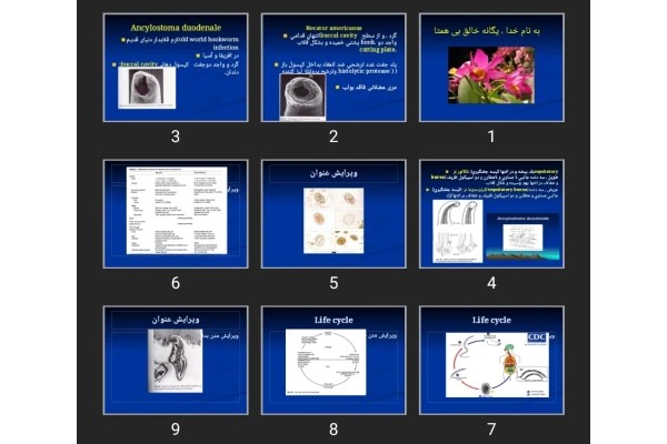 پاورپوینت Hook worm, larve migran stron