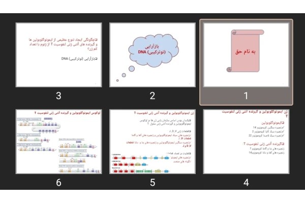 پاورپوینت DNA rearrangement