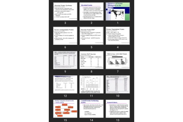 پاورپوینت Dynamics of Protein Metabolism in the Ruminant