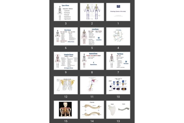 پاورپوینت Osteology (bones of the body)