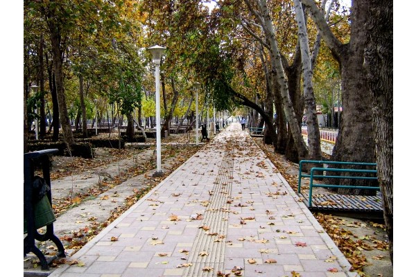 کوچه باغ 1