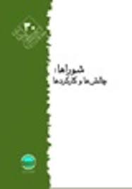 شوراها, چالش ها و کارکردها