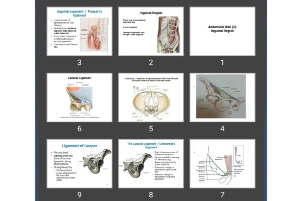 پاورپوینت ناحیه اینگوئینال Abdominal Wall (2): Inguinal Region