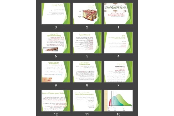 پاورپوینت تمامیت پوست و مراقبت زخم Skin Integrity and Wound Care