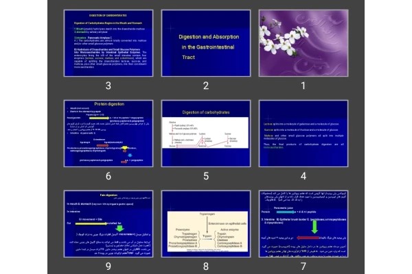 پاورپوینت Digestion and Absorption in the Gastrointestinal Tract