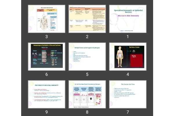 پاورپوینت Mucosal &amp; Skin Immunity