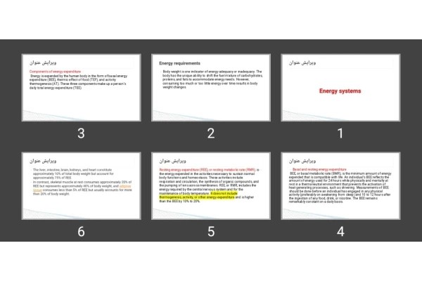 پاورپوینت Energy systems