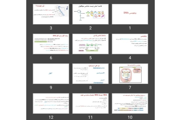 پاورپوینت رونویسی DNA