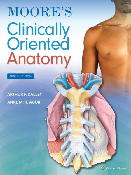 Moore’s Clinically Oriented Anatomy 9th Edition 2024