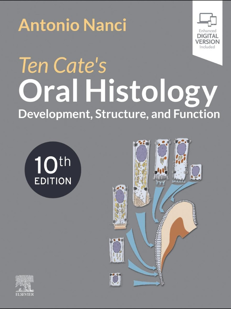Ten Cate's Oral Histology: Development, Structure, and Function 2025