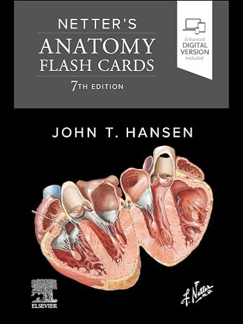 Netter's Anatomy Flash Cards 2027