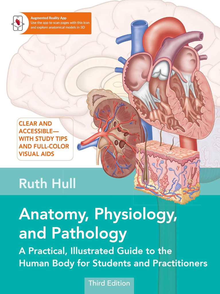 Anatomy, Physiology, and Pathology2024