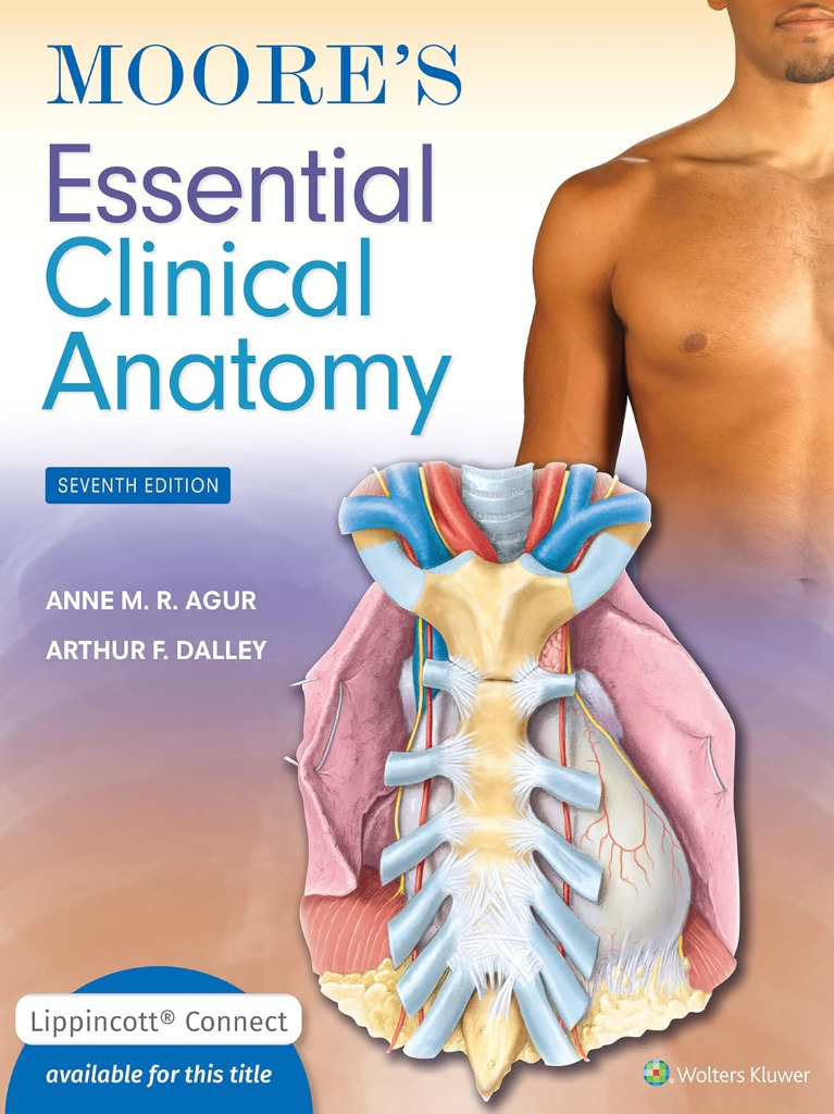 Moore's Essential Clinical Anatomy 2024