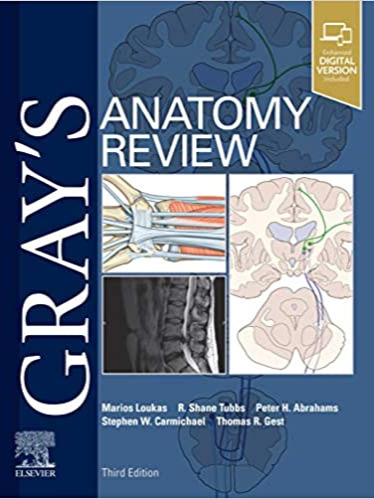 GRAY ANATOMY REVIEW 2022