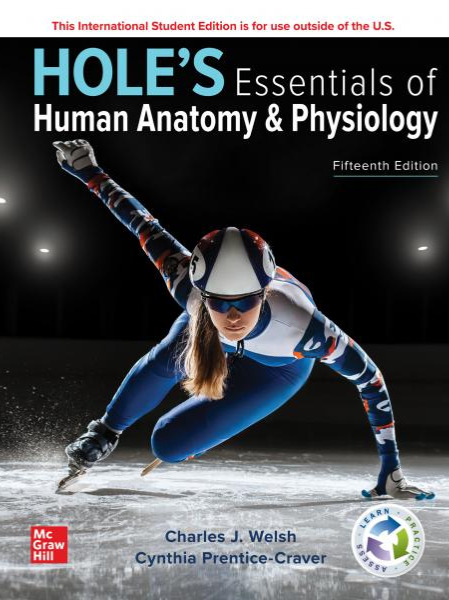 Holes Essentials of Human Anatomy & Physiology ISE2024