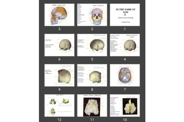 پاورپوینت Head &amp; Neck Osteology