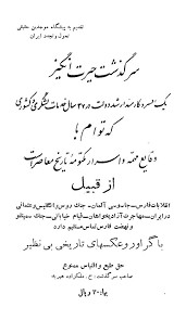سرگذشت حیرت انگیز