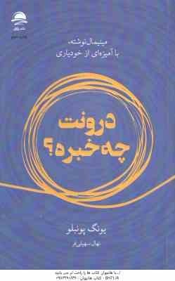 درونت چه خبره ؟ ( یونگ پوئبلو – نهال سهیلی فر ) مینیمال نوشته ، با آمیزه ا ی از خودیاری – شعر آمریکا