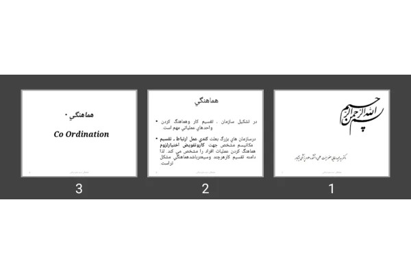 پاورپوینت هماهنگی Co Ordination