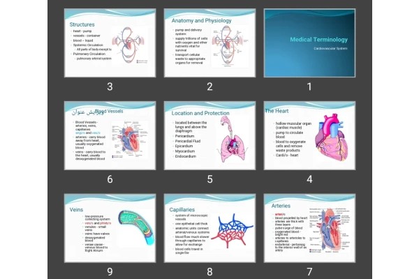پاورپوینت Cardiovascular system