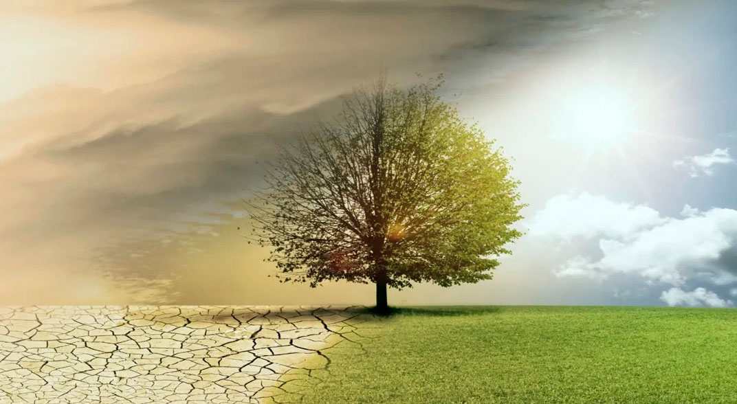 مبانی نظری رشد پس از سانحه