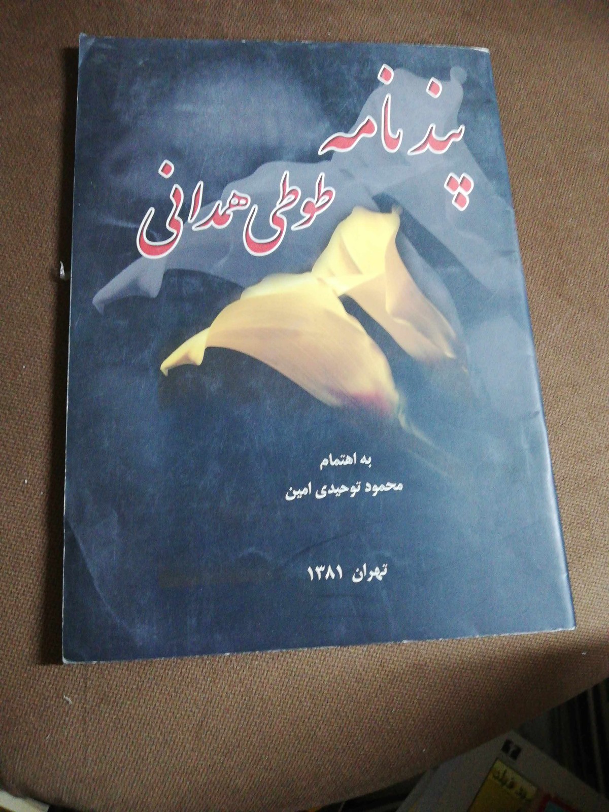 پندنامه طوطی همدانی