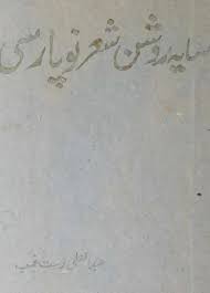 سایه روشن شعر نو پارسی