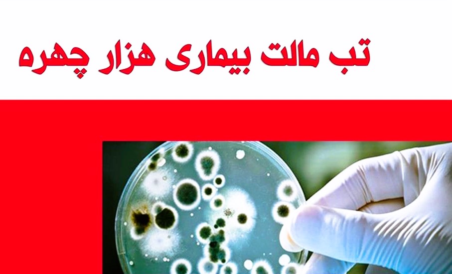 پاورپوینت تب ناپایدار تب مالت تب مدیترانه ای (انسان) - پاورداک