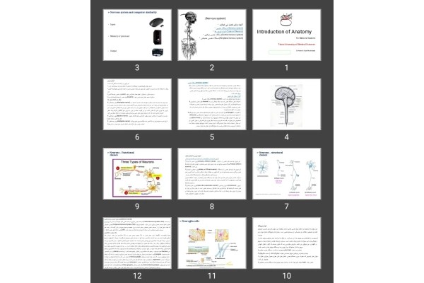 پاورپوینت Introduction of Anatomy