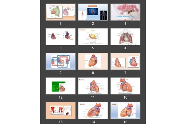 پاورپوینت Circulatory system