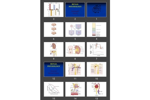 پاورپوینت RENAL Physiology