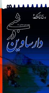 شبی در دارساوین