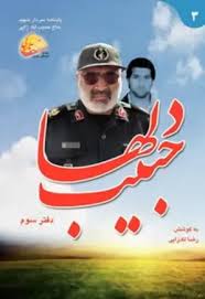 حبیب دلها - جلد 3